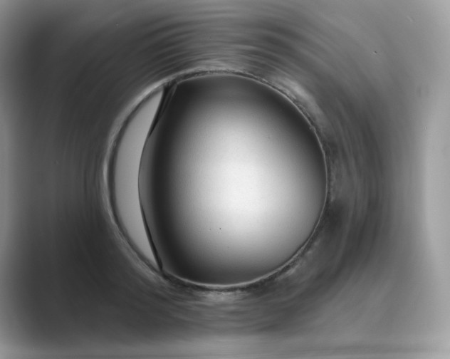 X0000089680796200707051605