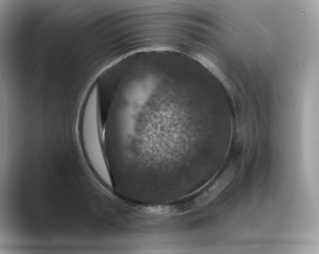 X0000089680797200707051605