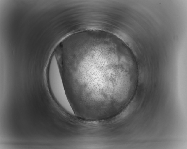 X0000089680798200707051605