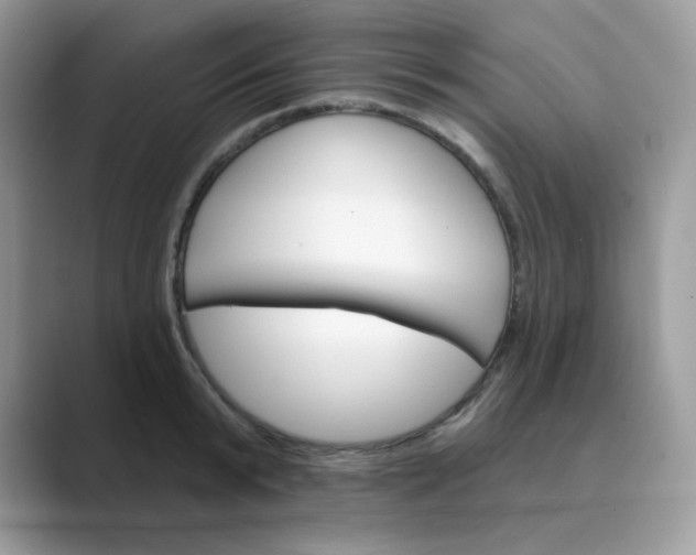 X0000089680799200707051605