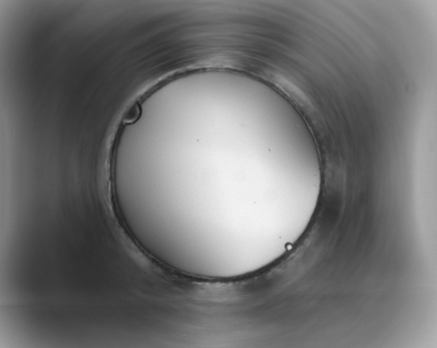 X0000089680800200707051605