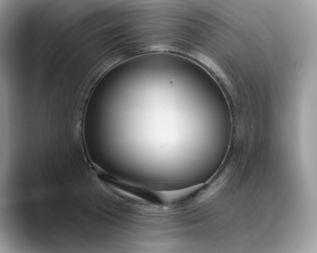 X0000089680801200707051605