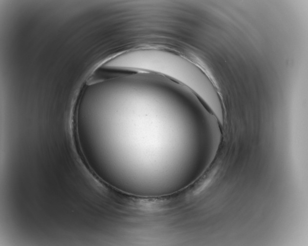 X0000089680803200707051605