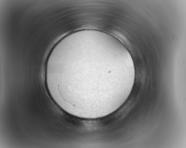 X0000089680804200707051605