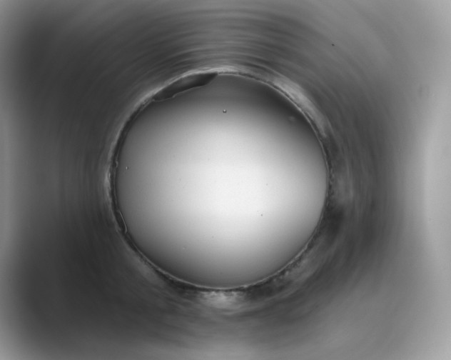 X0000089680805200707051605