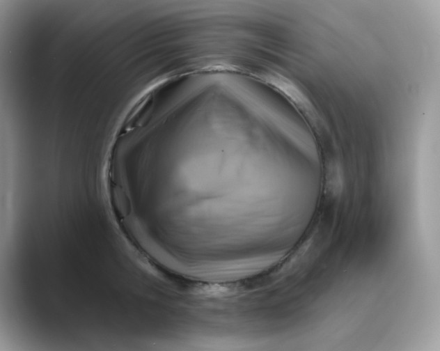 X0000089680806200707051605