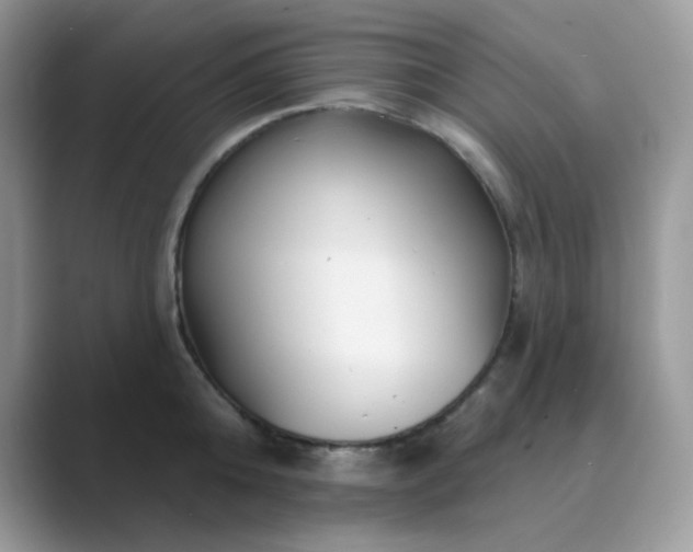X0000089680808200707051605