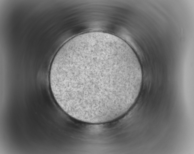 X0000089680810200707051605