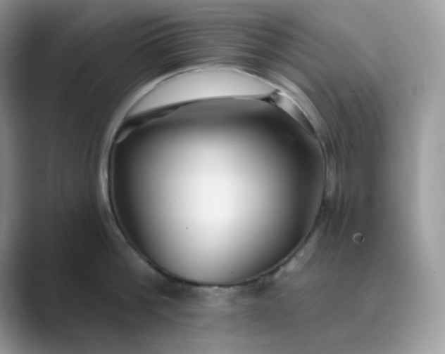 X0000089680812200707051605
