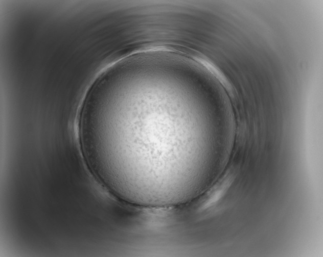 X0000089680813200707051605