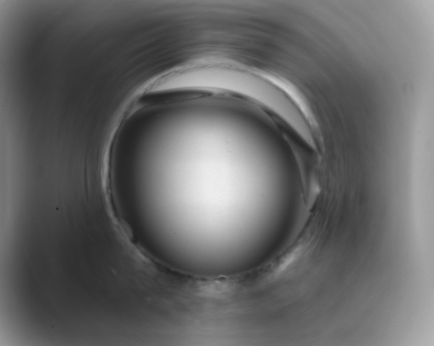 X0000089680815200707051605