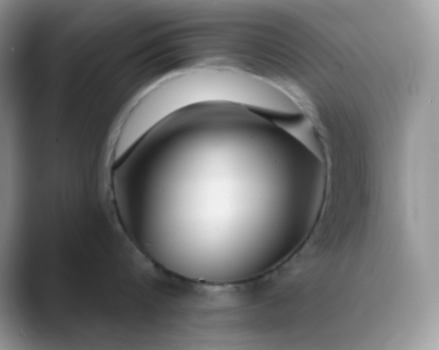 X0000089680816200707051605