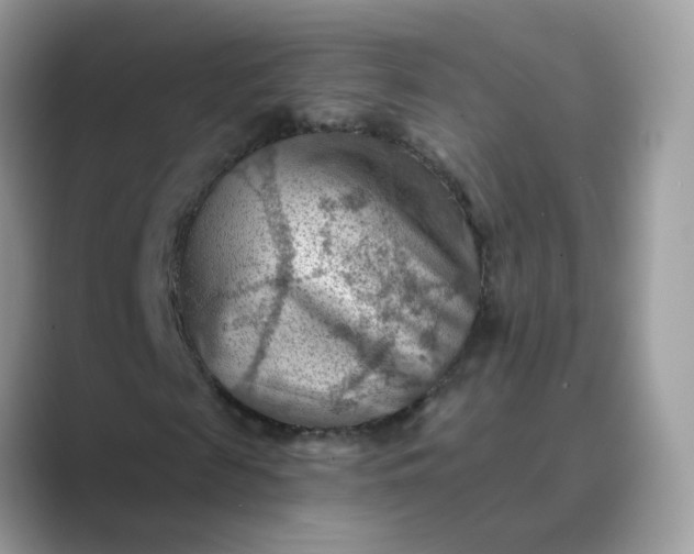 X0000089680817200707051605
