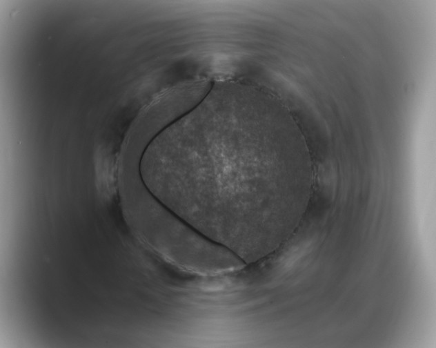 X0000089680818200707051605
