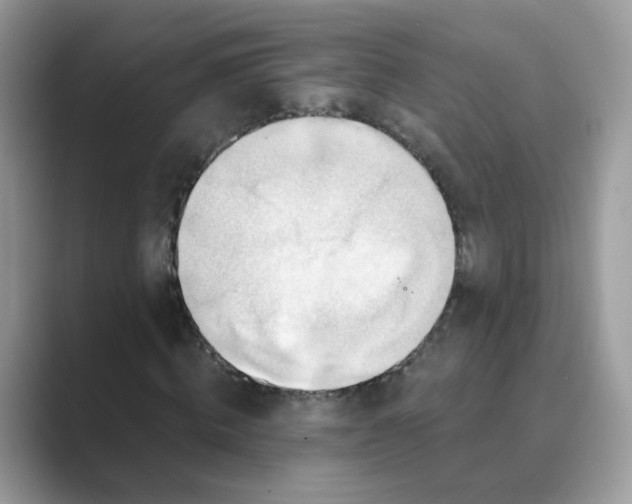X0000089680820200707051605