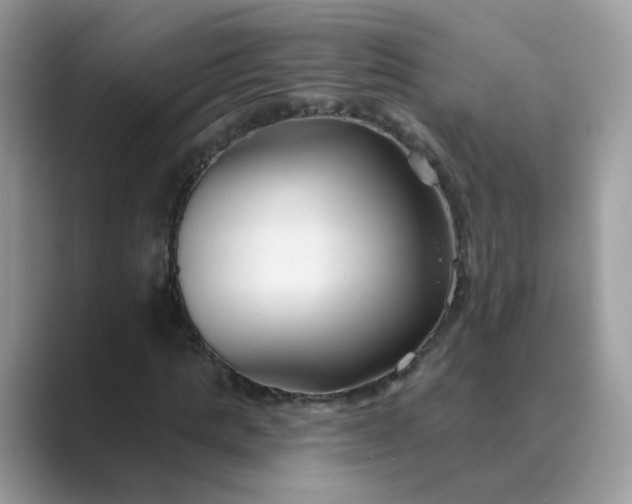 X0000089680821200707051605