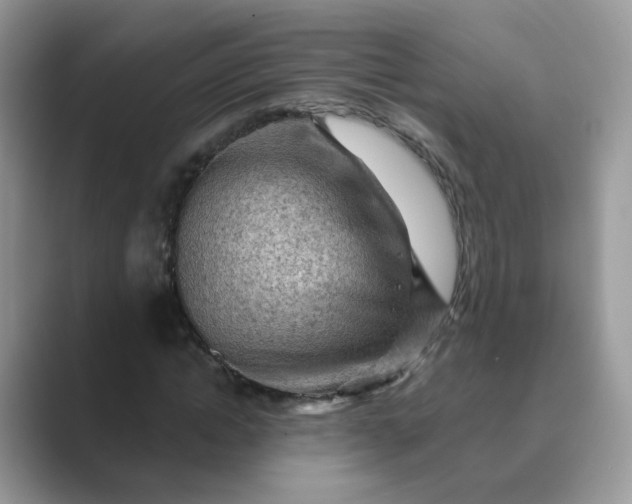 X0000089680822200707051605