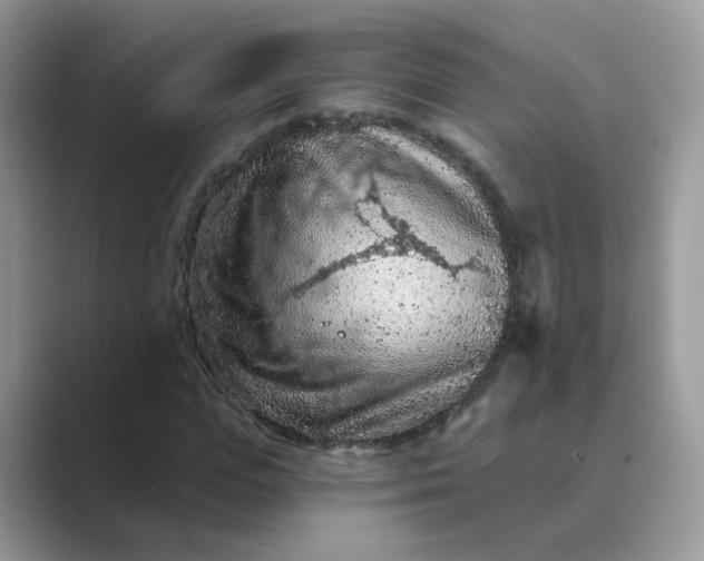 X0000089680823200707051605