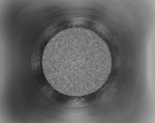 X0000089680824200707051605