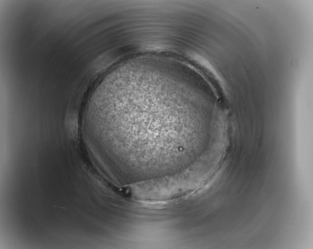 X0000089680825200707051605