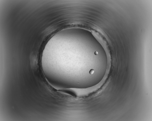 X0000089680826200707051605