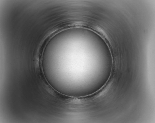 X0000089680827200707051605