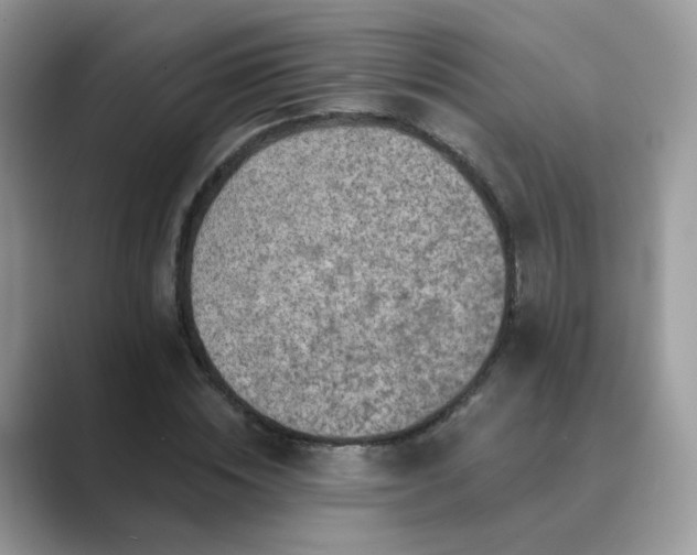 X0000089680828200707051605