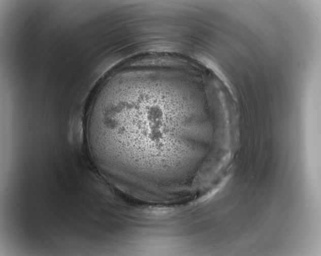 X0000089680829200707051605