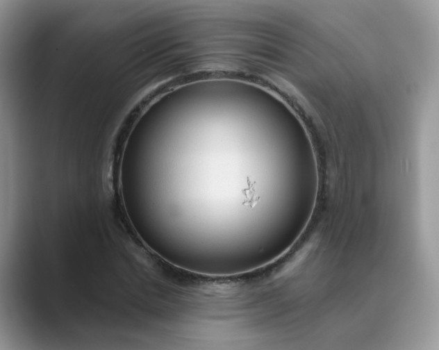 X0000089680830200707051605