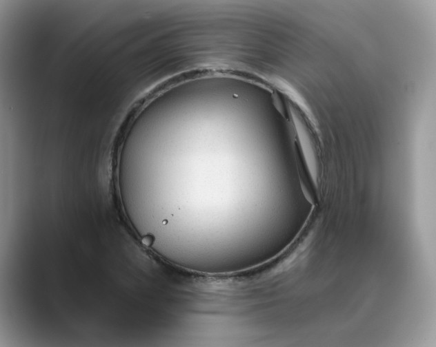 X0000089680831200707051605