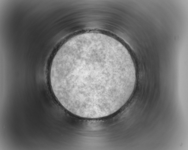 X0000089680832200707051605