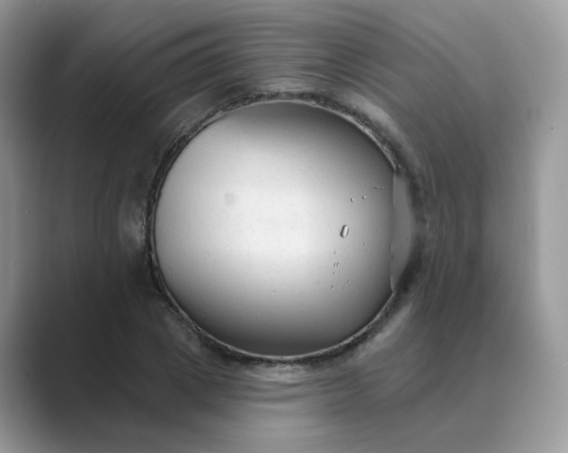 X0000089680833200707051605