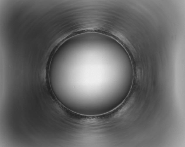X0000089680834200707051605