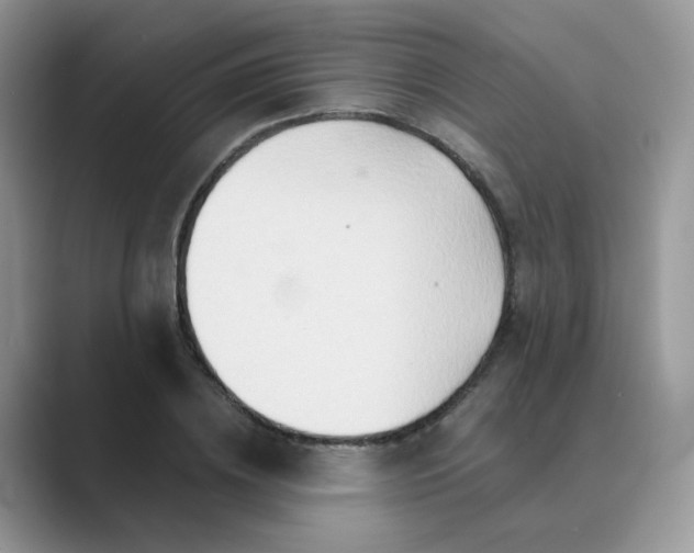 X0000089680836200707051605
