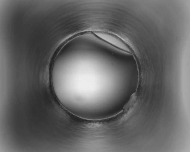 X0000089680838200707051605