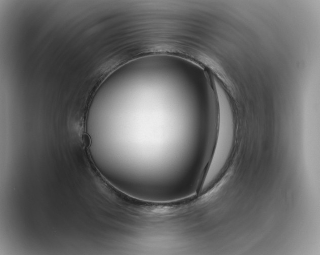 X0000089680841200707051605