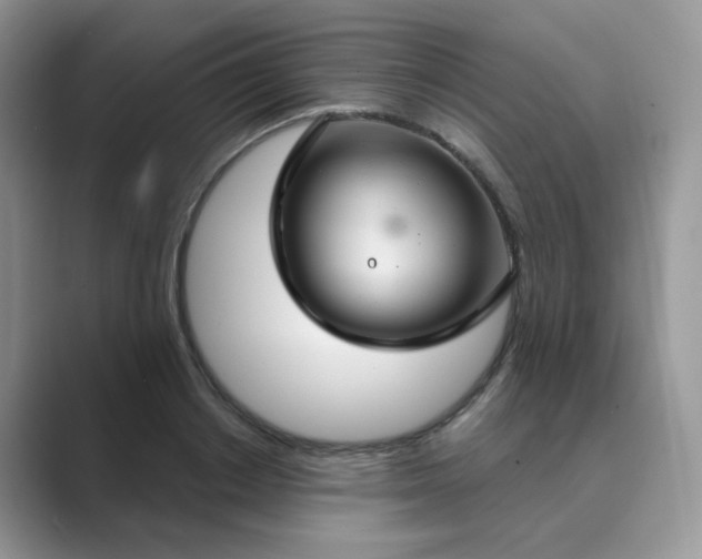 X0000089680842200707051605