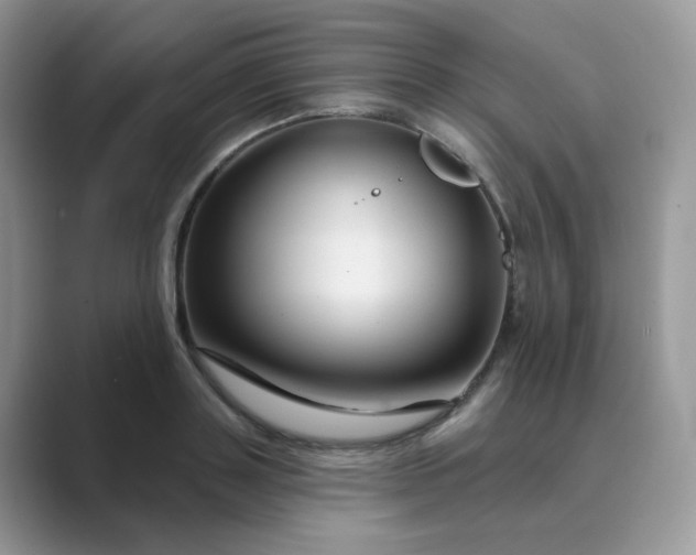 X0000089680843200707051605
