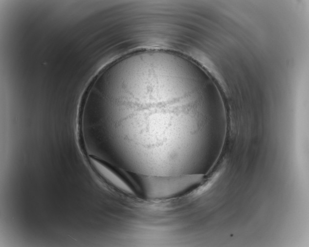 X0000089680845200707051605