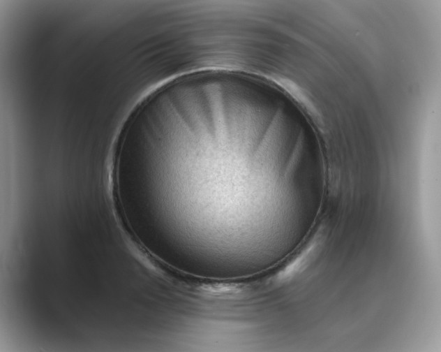 X0000089680846200707051605