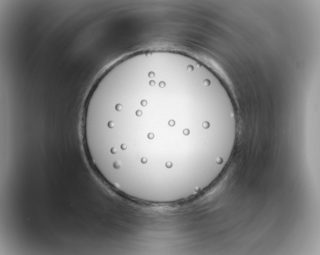 X0000089680847200707051605