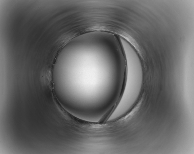 X0000089680849200707051605