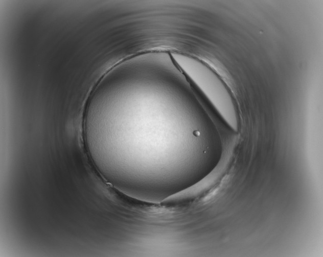 X0000089680850200707051605