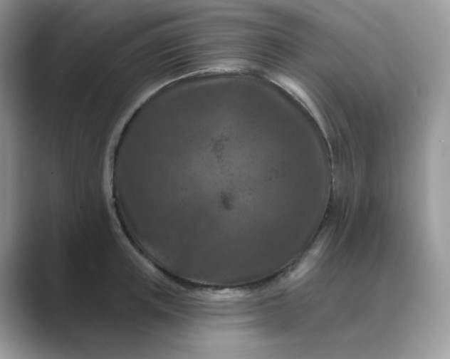 X0000089680851200707051605