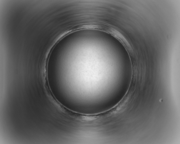 X0000089680852200707051605