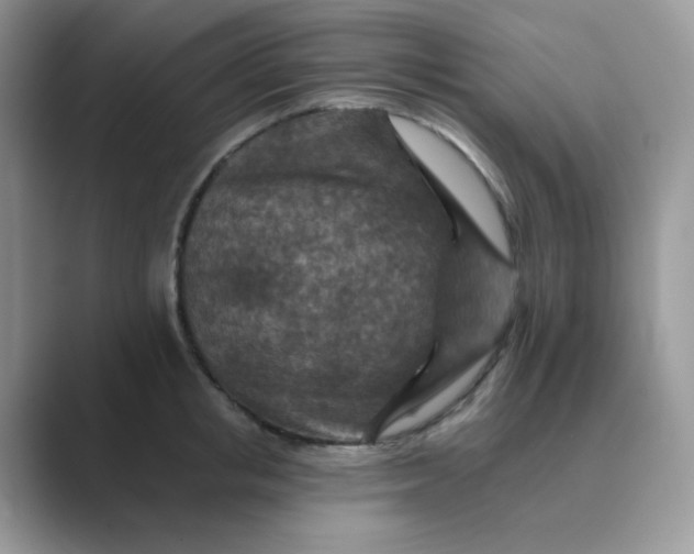 X0000089680853200707051605