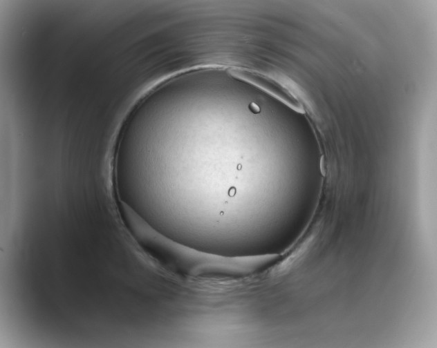 X0000089680854200707051605