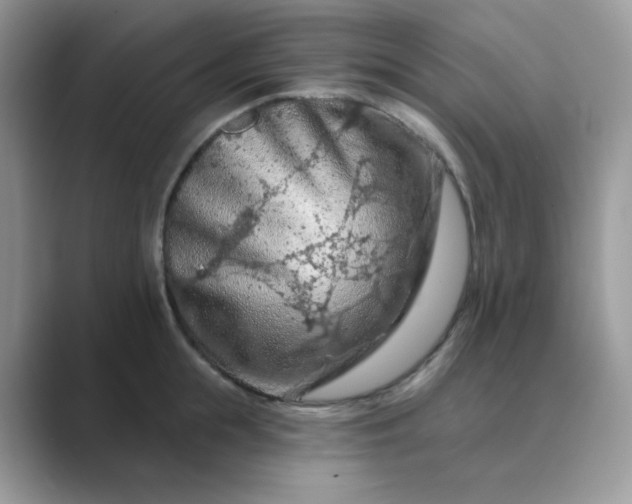 X0000089680855200707051605