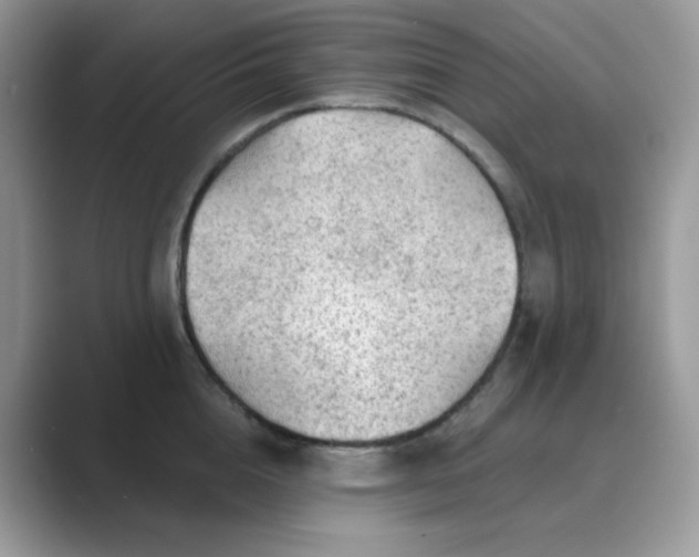 X0000089680856200707051605