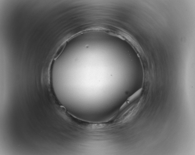 X0000089680858200707051605